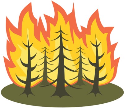 WILDFIRE RISK AND VULNERABILITY
